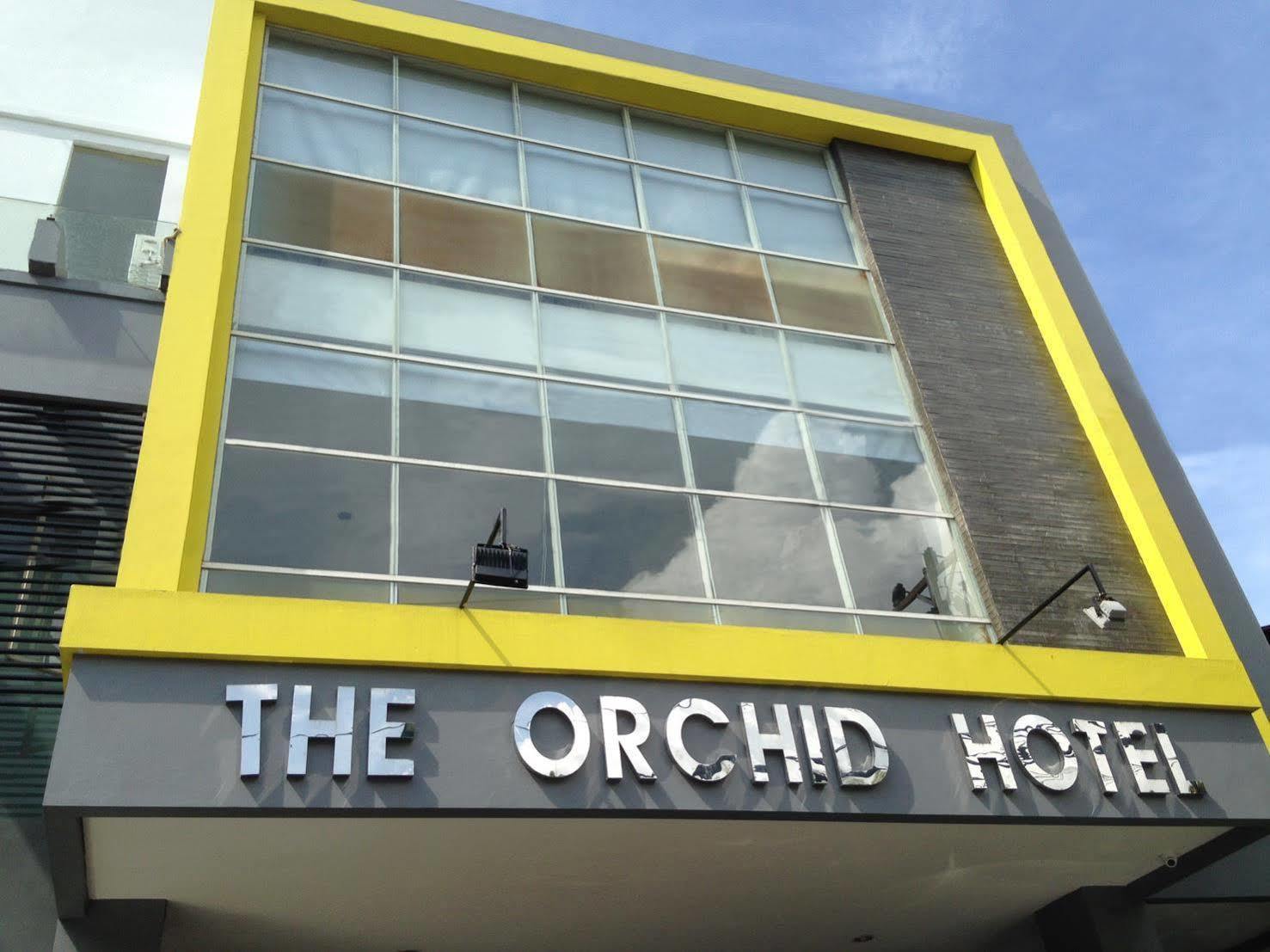 The Orchid Hotel Ambon Esterno foto